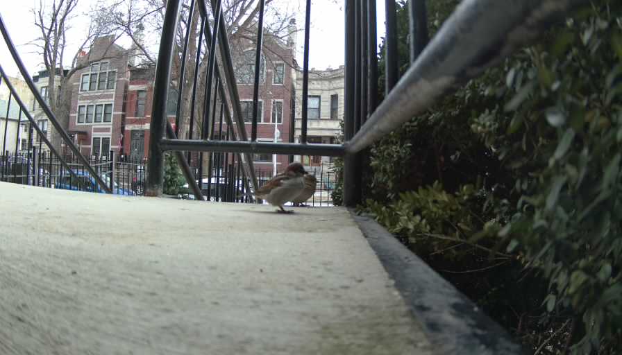 Reolink Camera Two_01_Reolink Home Hub One_20250207094353.jpg